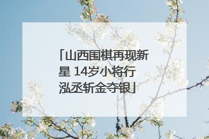 山西围棋再现新星 14岁小将行泓丞斩金夺银