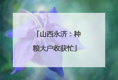 山西永济：种粮大户收获忙