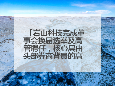 岩山科技完成董事会换届选举及高管聘任，核心层由头部券商背景的高管掌控