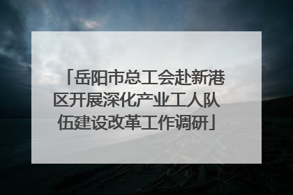 岳阳市总工会赴新港区开展深化产业工人队伍建设改革工作调研