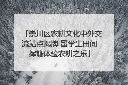 崇川区农耕文化中外交流站点揭牌 留学生田间挥镰体验农耕之乐