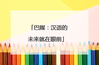 巴媒：汉语的未来就在眼前