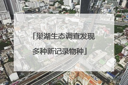 巢湖生态调查发现多种新记录物种