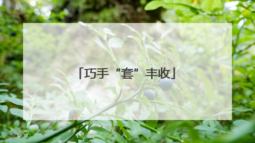 巧手“套”丰收