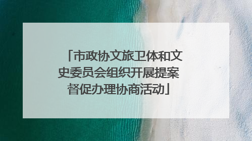 市政协文旅卫体和文史委员会组织开展提案督促办理协商活动