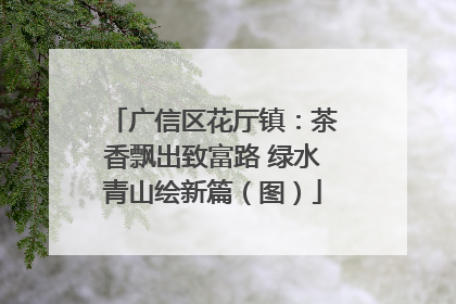 广信区花厅镇：茶香飘出致富路 绿水青山绘新篇（图）
