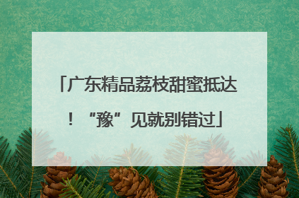 广东精品荔枝甜蜜抵达！“豫”见就别错过