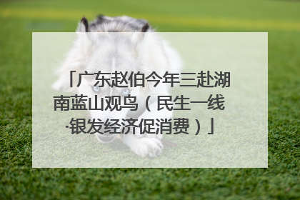 广东赵伯今年三赴湖南蓝山观鸟（民生一线·银发经济促消费）