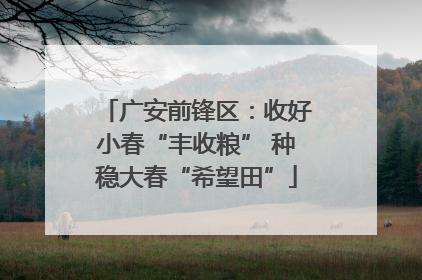 广安前锋区：收好小春“丰收粮” 种稳大春“希望田”