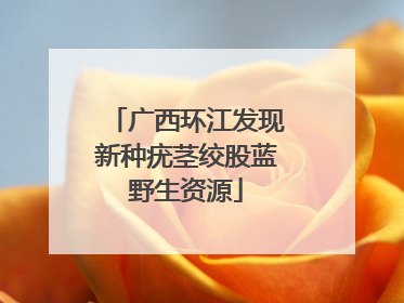 广西环江发现新种疣茎绞股蓝野生资源