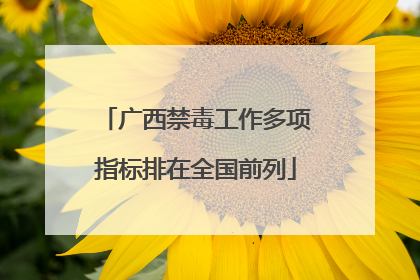 广西禁毒工作多项指标排在全国前列