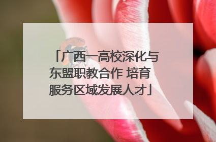 广西一高校深化与东盟职教合作 培育服务区域发展人才