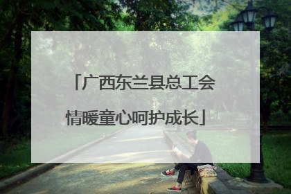 广西东兰县总工会情暖童心呵护成长