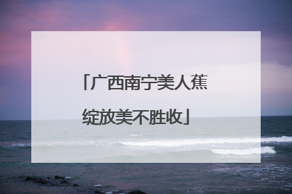 广西南宁美人蕉绽放美不胜收