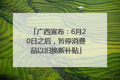 广西宣布：6月20日之后，暂停消费品以旧换新补贴
