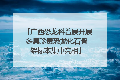 广西恐龙科普展开展 多具珍贵恐龙化石骨架标本集中亮相
