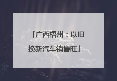 广西梧州：以旧换新汽车销售旺