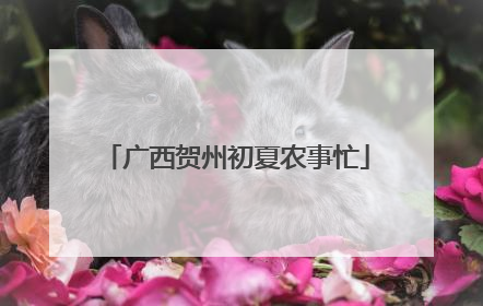 广西贺州初夏农事忙