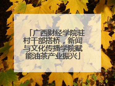 广西财经学院驻村干部搭桥，新闻与文化传播学院赋能油茶产业振兴