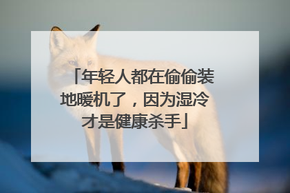 年轻人都在偷偷装地暖机了，因为湿冷才是健康杀手