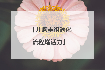 并购重组简化流程增活力