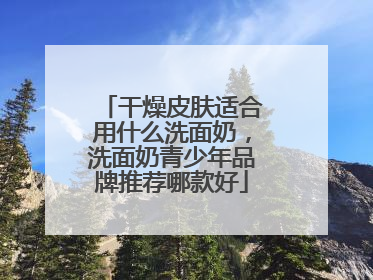 干燥皮肤适合用什么洗面奶，洗面奶青少年品牌推荐哪款好