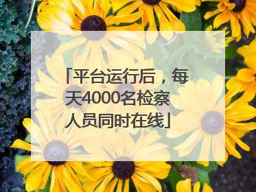平台运行后，每天4000名检察人员同时在线