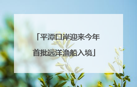 平潭口岸迎来今年首批远洋渔船入境