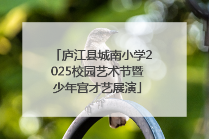 庐江县城南小学2025校园艺术节暨少年宫才艺展演