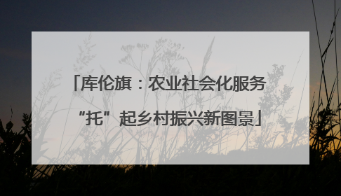 库伦旗：农业社会化服务“托”起乡村振兴新图景
