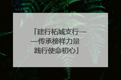 建行柘城支行——传承榜样力量 践行使命初心