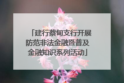 建行蔡甸支行开展防范非法金融暨普及金融知识系列活动