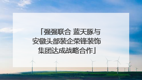 强强联合 蓝天豚与安徽头部装企荣锋装饰集团达成战略合作