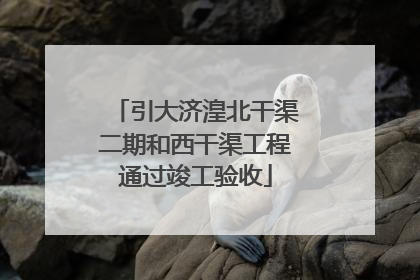 引大济湟北干渠二期和西干渠工程通过竣工验收