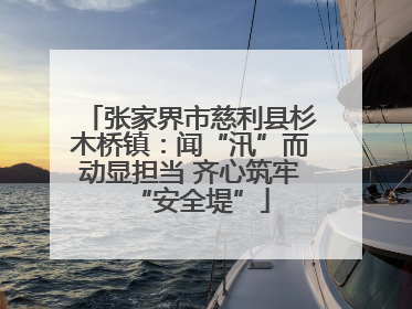 张家界市慈利县杉木桥镇：闻“汛”而动显担当 齐心筑牢“安全堤”