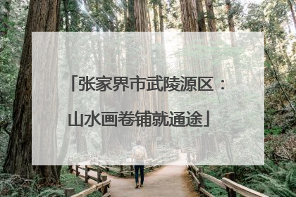 张家界市武陵源区：山水画卷铺就通途