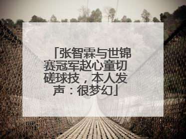 张智霖与世锦赛冠军赵心童切磋球技，本人发声：很梦幻