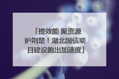 提效能 聚资源 护荆楚！湖北国债项目建设跑出加速度