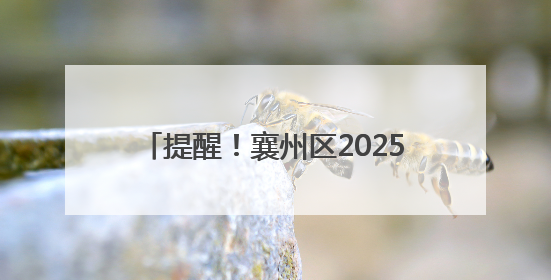 提醒！襄州区2025年慢病复审工作启动