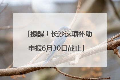 提醒！长沙这项补助申报6月30日截止