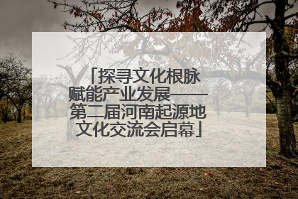 探寻文化根脉 赋能产业发展——第二届河南起源地文化交流会启幕