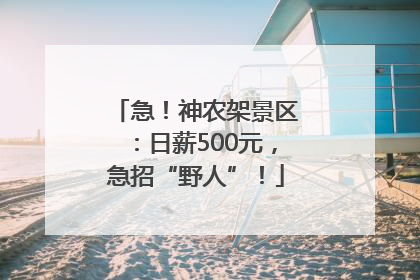急！神农架景区：日薪500元，急招“野人”！