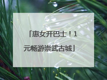 惠女开巴士！1元畅游崇武古城