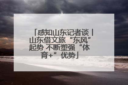 感知山东记者谈丨山东借文旅“东风”起势 不断塑强“体育+”优势