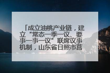 成立油桃产业链，建立“常态一季一议、要事一事一议”联席议事机制，山东省日照市莒县果庄镇——13个党小组“全周期”育果