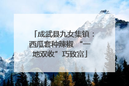 成武县九女集镇：西瓜套种辣椒 “一地双收”巧致富
