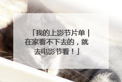 我的上影节片单｜在家看不下去的，就去电影节看！