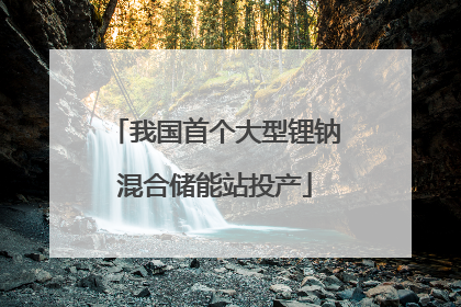我国首个大型锂钠混合储能站投产