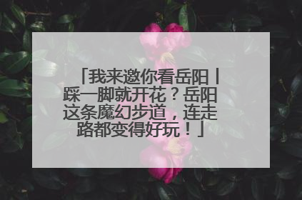 我来邀你看岳阳丨踩一脚就开花？岳阳这条魔幻步道，连走路都变得好玩！