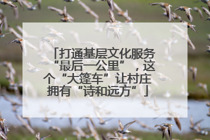 打通基层文化服务“最后一公里”，这个“大篷车”让村庄拥有“诗和远方”